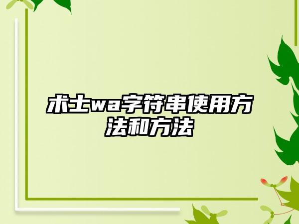 术士wa字符串使用方法和方法