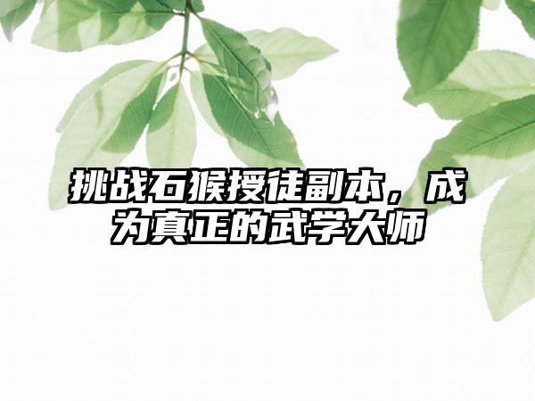 挑战石猴授徒副本，成为真正的武学大师