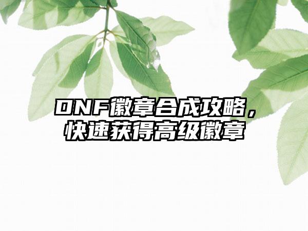 DNF徽章合成攻略，快速获得高级徽章