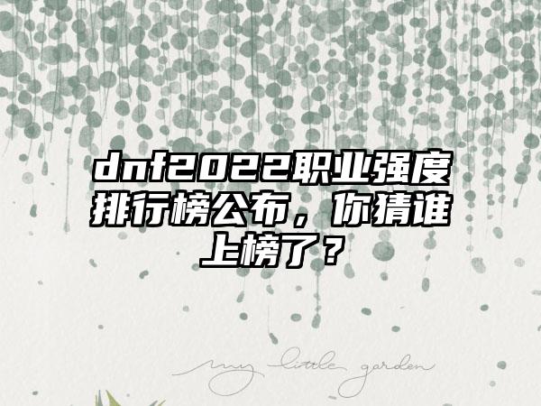 dnf2022职业强度排行榜公布，你猜谁上榜了？