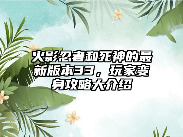 火影忍者和死神的最新版本33，玩家变身攻略大介绍