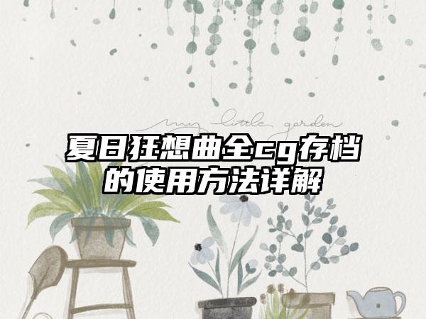 夏日狂想曲全cg存档的使用方法详解