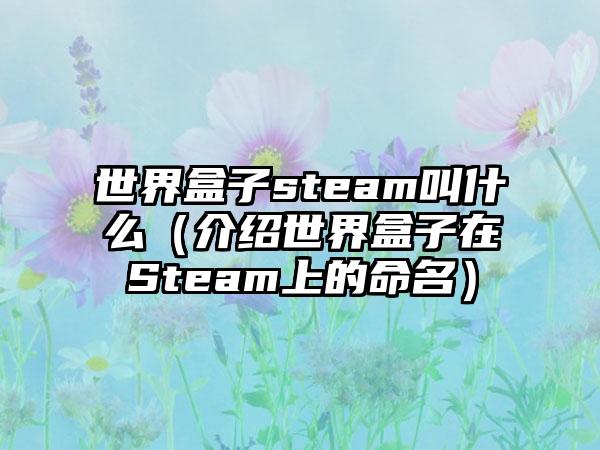 世界盒子steam叫什么（介绍世界盒子在Steam上的命名）