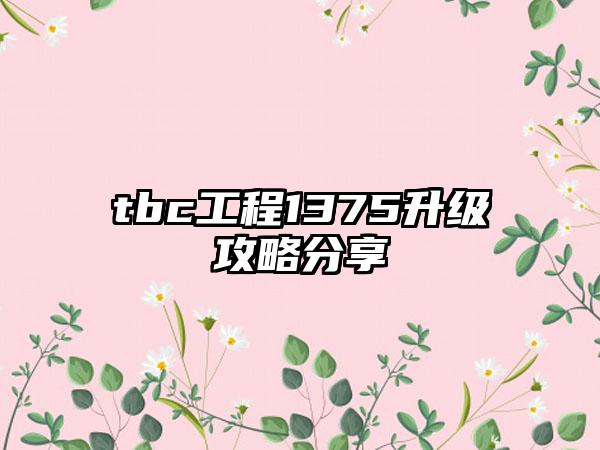 tbc工程1375升级攻略分享