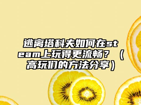 逃离塔科夫如何在steam上玩得更流畅？（高玩们的方法分享）