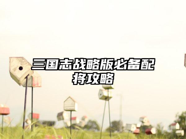 三国志战略版必备配将攻略
