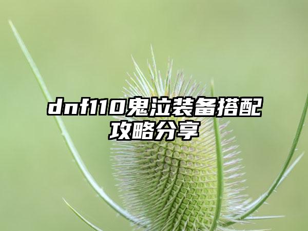 dnf110鬼泣装备搭配攻略分享