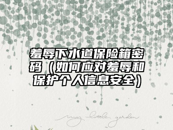 羞辱下水道保险箱密码（如何应对羞辱和保护个人信息安全）
