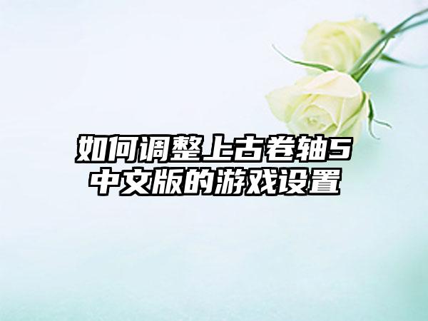 如何调整上古卷轴5中文版的游戏设置