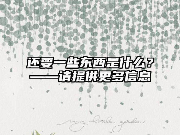 还要一些东西是什么？——请提供更多信息