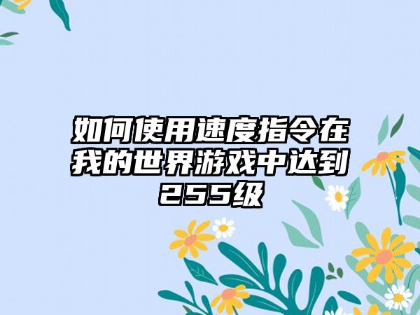 如何使用速度指令在我的世界游戏中达到255级