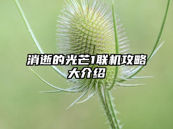 消逝的光芒1联机攻略大介绍