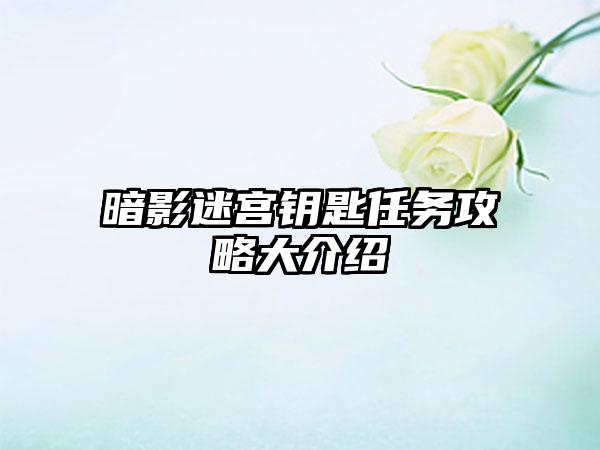 暗影迷宫钥匙任务攻略大介绍