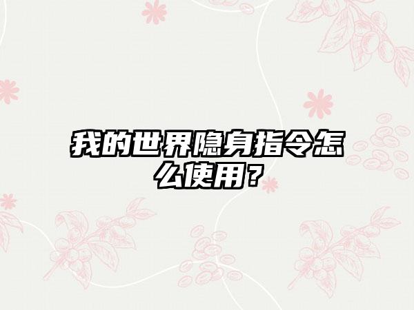 我的世界隐身指令怎么使用？