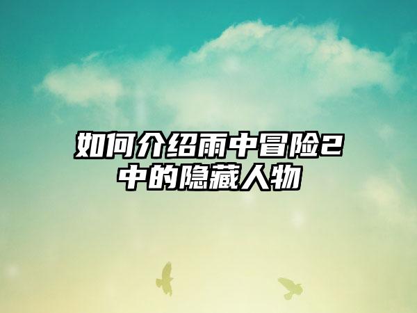 如何介绍雨中冒险2中的隐藏人物