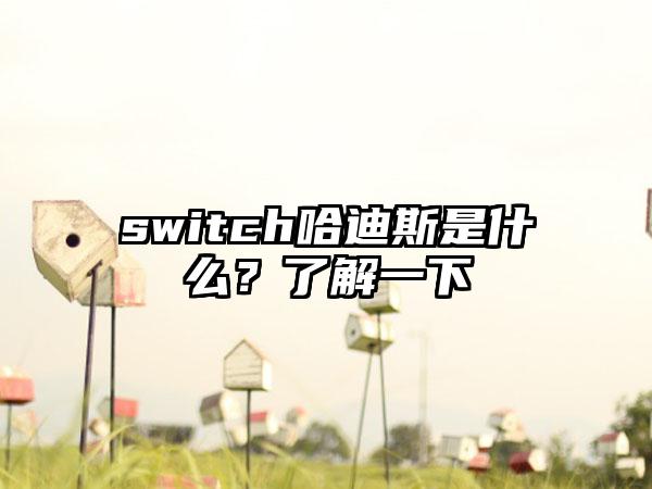 switch哈迪斯是什么？了解一下