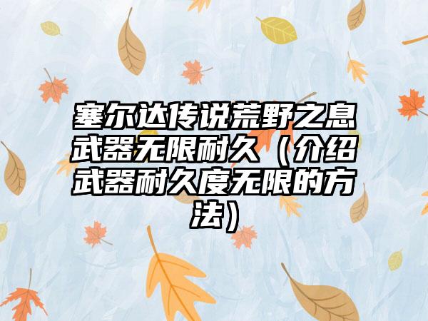 塞尔达传说荒野之息武器无限耐久（介绍武器耐久度无限的方法）
