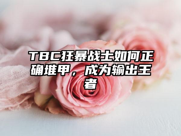 TBC狂暴战士如何正确堆甲，成为输出王者