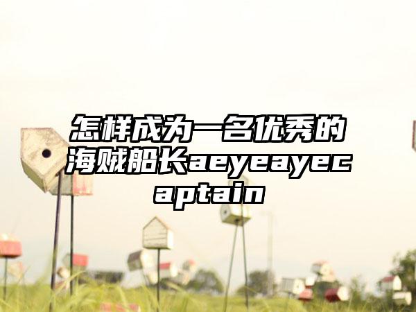 怎样成为一名优秀的海贼船长aeyeayecaptain