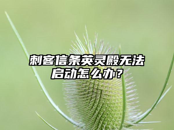 刺客信条英灵殿无法启动怎么办？