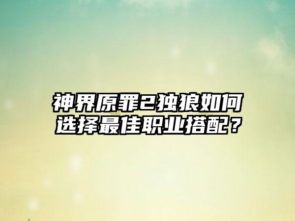 神界原罪2独狼如何选择最佳职业搭配？