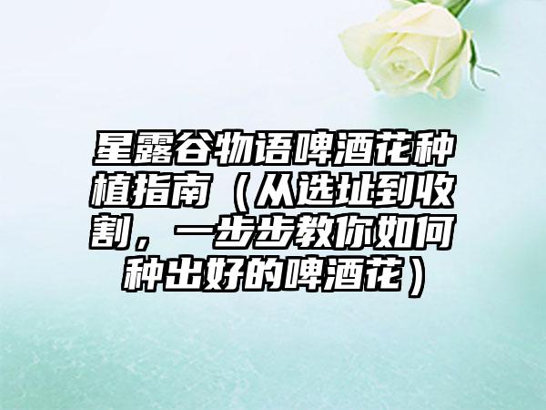 星露谷物语啤酒花种植指南（从选址到收割，一步步教你如何种出好的啤酒花）