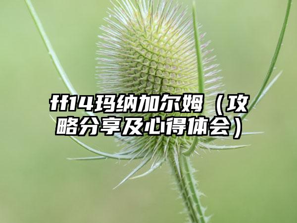 ff14玛纳加尔姆（攻略分享及心得体会）