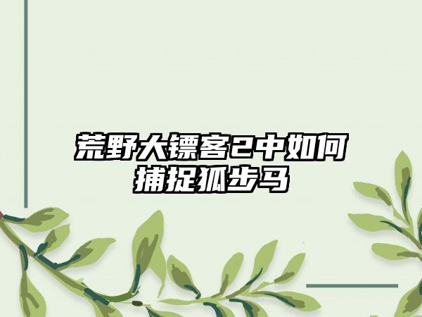 荒野大镖客2中如何捕捉狐步马