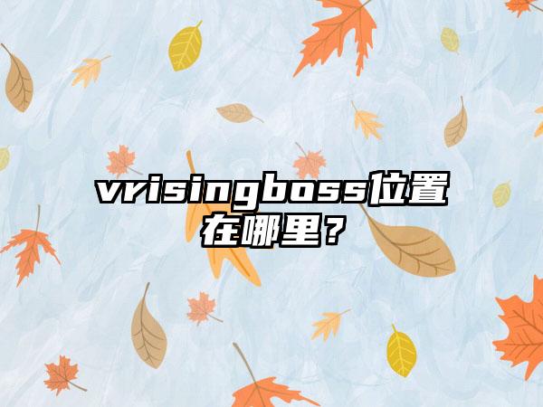 vrisingboss位置在哪里？