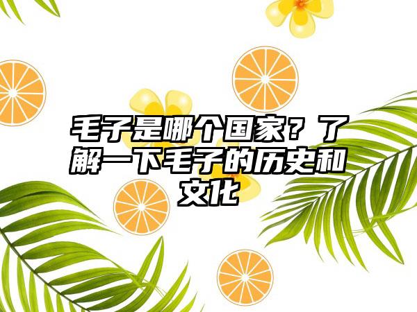 毛子是哪个国家？了解一下毛子的历史和文化