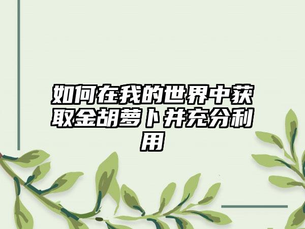 如何在我的世界中获取金胡萝卜并充分利用
