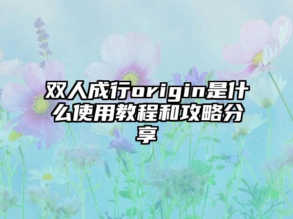 双人成行origin是什么使用教程和攻略分享