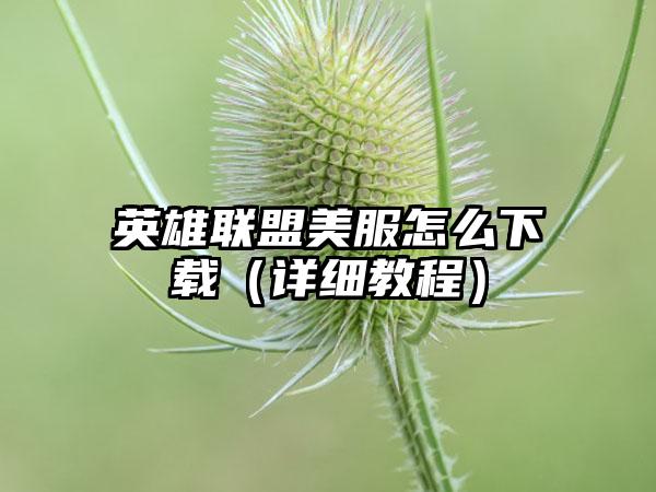 英雄联盟美服怎么（详细教程）