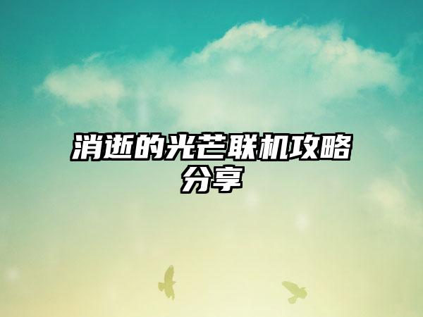 消逝的光芒联机攻略分享