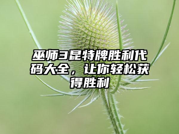 巫师3昆特牌胜利代码大全，让你轻松获得胜利