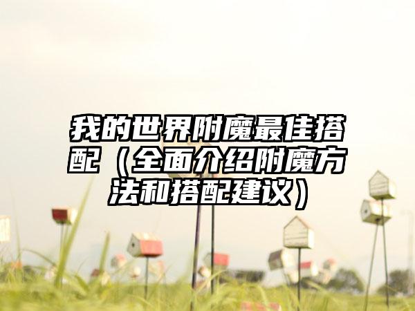 我的世界附魔最佳搭配（全面介绍附魔方法和搭配建议）