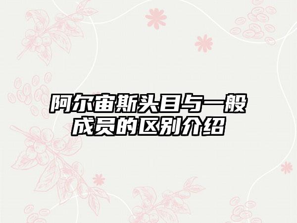 阿尔宙斯头目与一般成员的区别介绍