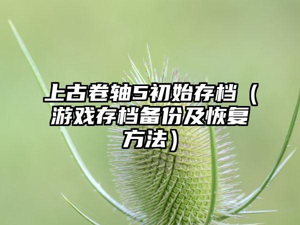 上古卷轴5初始存档（游戏存档备份及恢复方法）