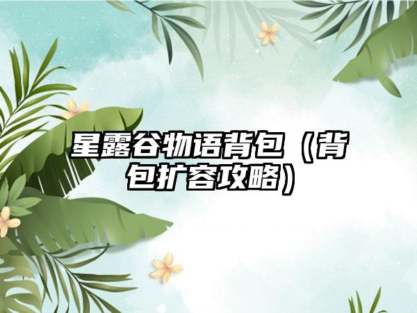 星露谷物语背包（背包扩容攻略）