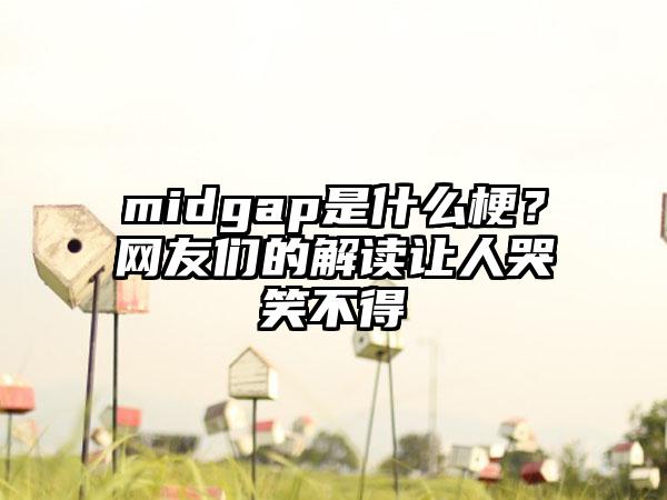 midgap是什么梗？网友们的解读让人哭笑不得