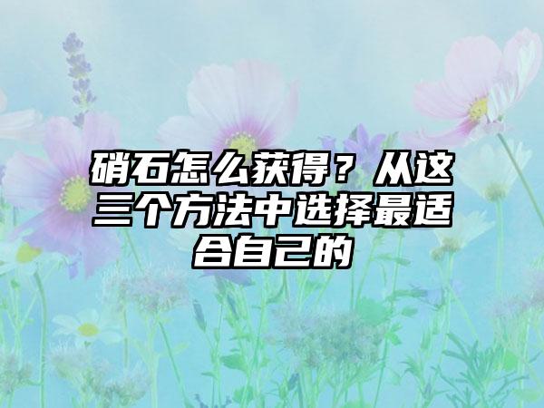 硝石怎么获得？从这三个方法中选择最适合自己的