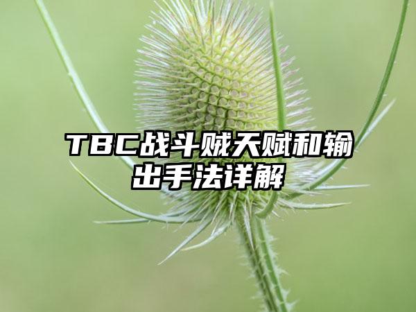 TBC战斗贼天赋和输出手法详解