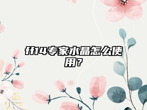 ff14专家水晶怎么使用？
