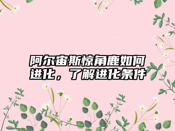 阿尔宙斯惊角鹿如何进化，了解进化条件