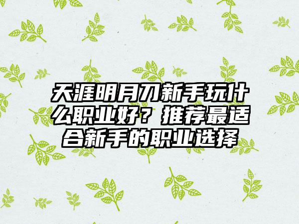 天涯明月刀新手玩什么职业好？推荐最适合新手的职业选择