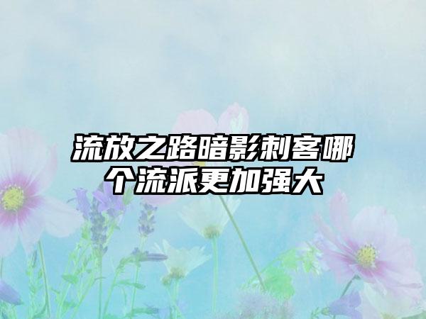 流放之路暗影刺客哪个流派更加强大