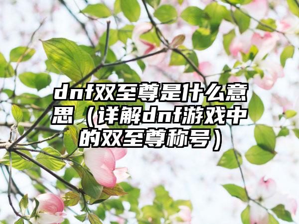 dnf双至尊是什么意思（详解dnf游戏中的双至尊称号）