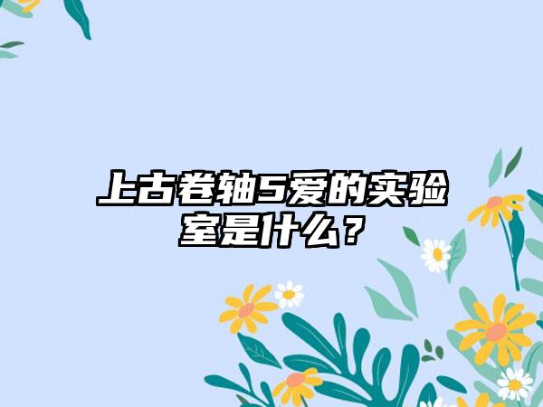 上古卷轴5爱的实验室是什么？