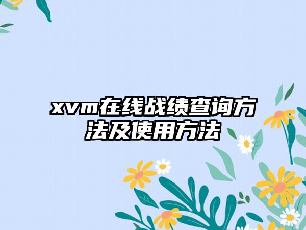 xvm在线战绩查询方法及使用方法