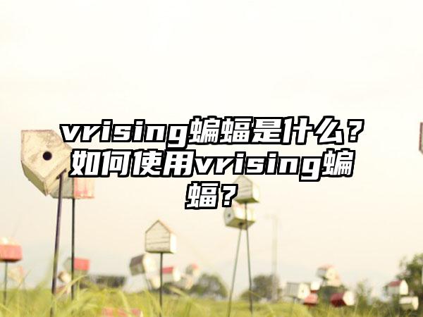 vrising蝙蝠是什么？如何使用vrising蝙蝠？